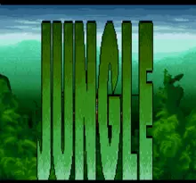 Image n° 4 - screenshots  : Jungle Strike